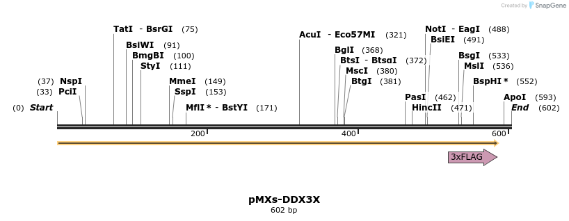 142207_map