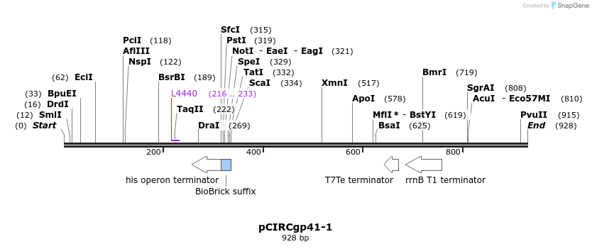 142211_map