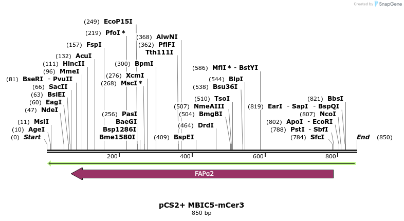 142212_map