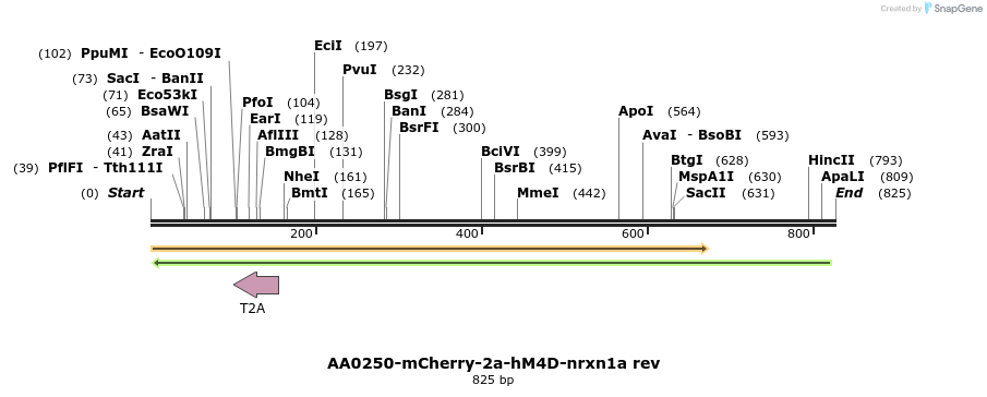 142215_map