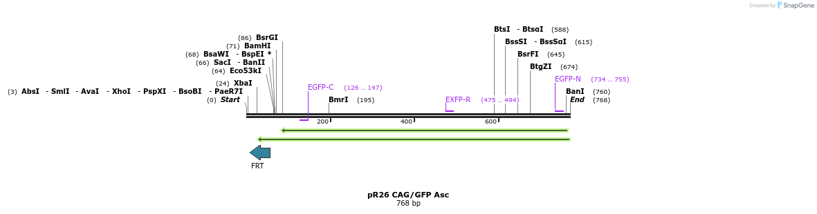 142221_map