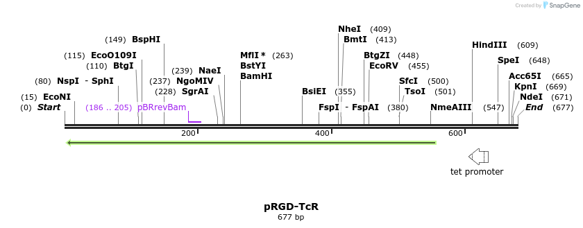 142225_map