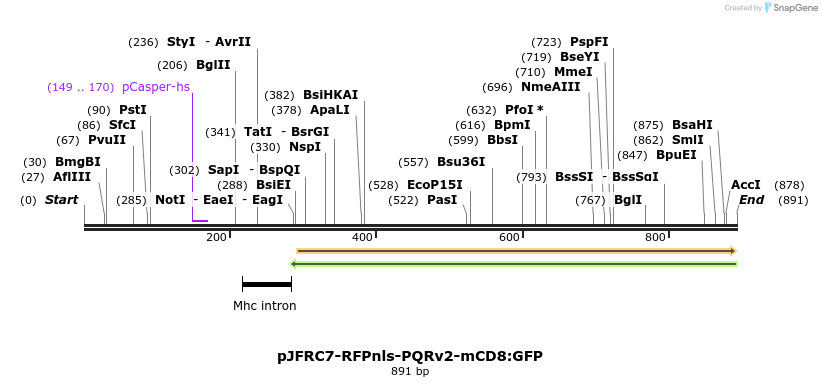 142226_map