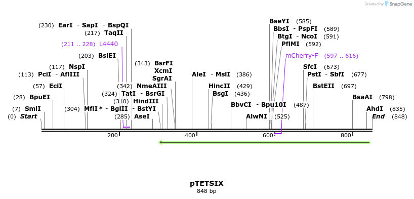 142230_map