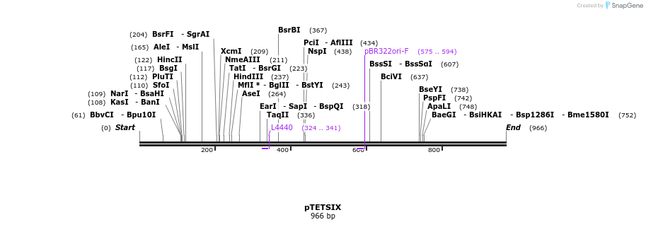142231_map