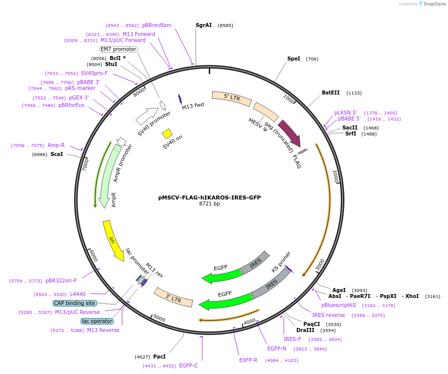 142270_map