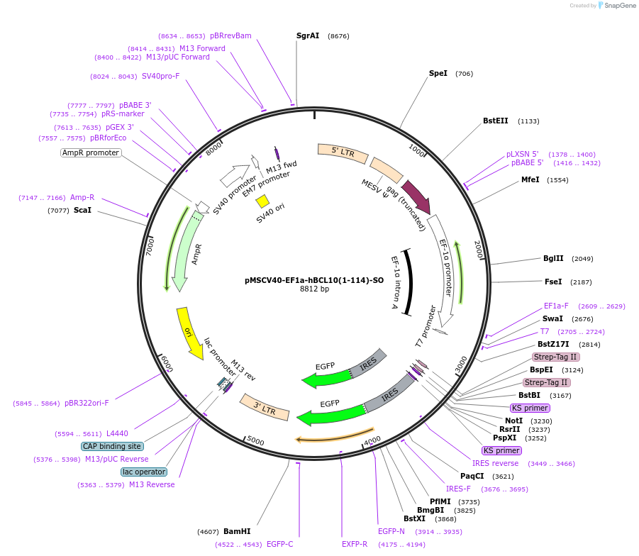 142314_map