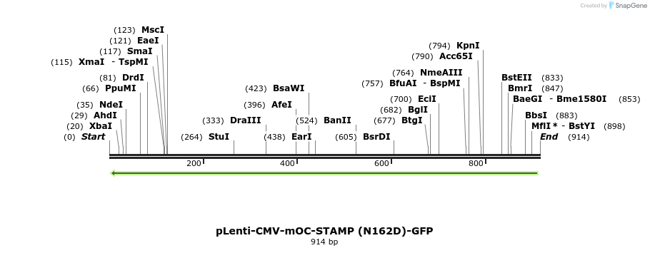 142326_map