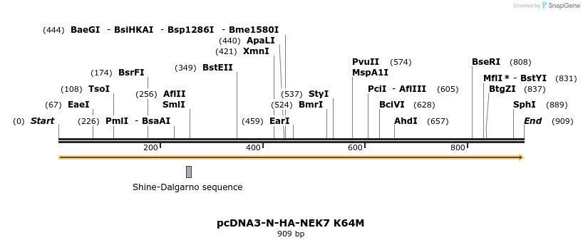 142330_map
