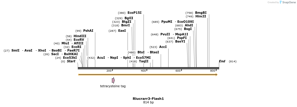 142333_map