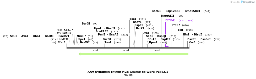 142339_map