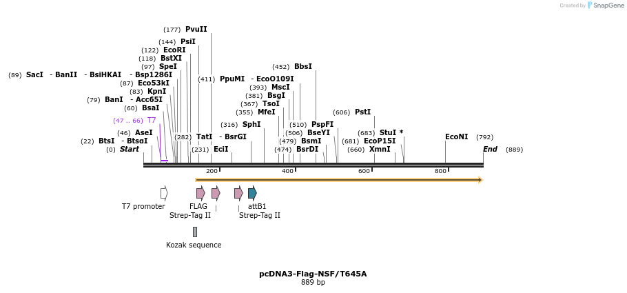 142341_map