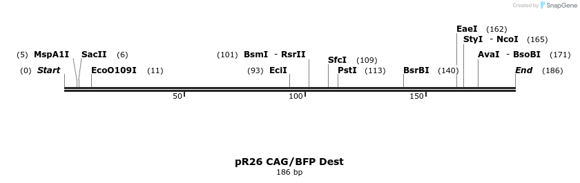 142343_map