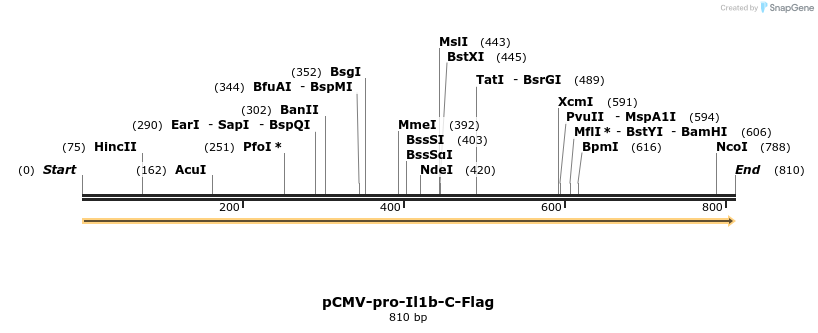 142345_map