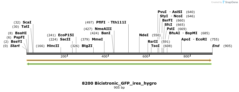 142347_map