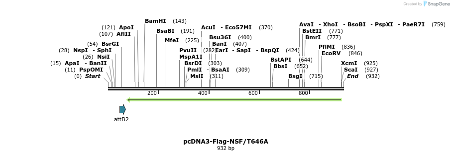 142358_map