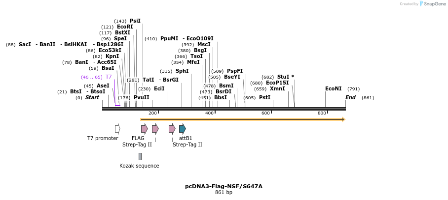 142360_map