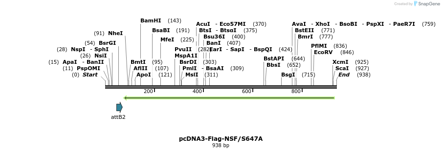 142361_map