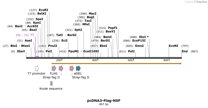 142362_map