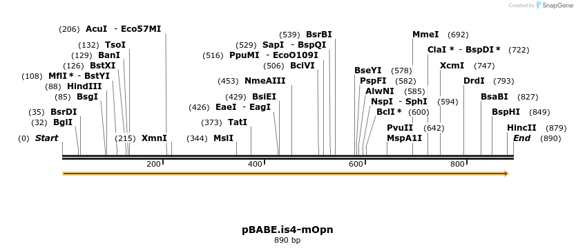 142368_map