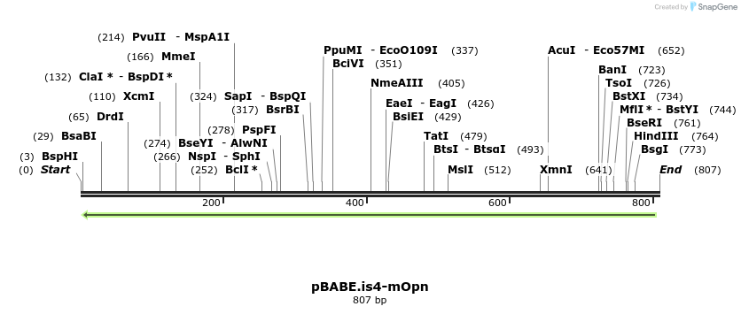 142369_map