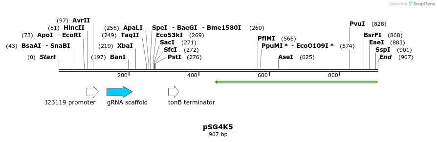 142372_map