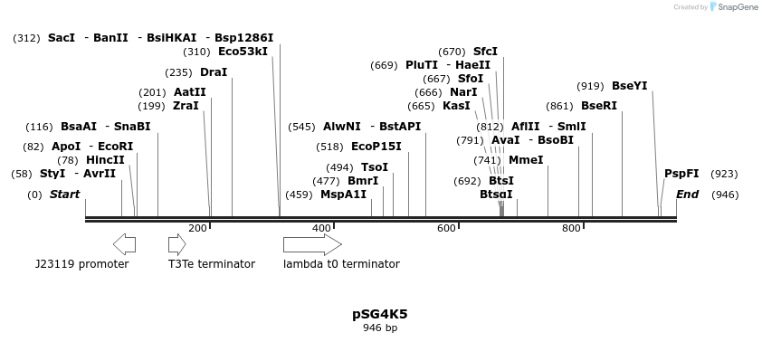 142373_map