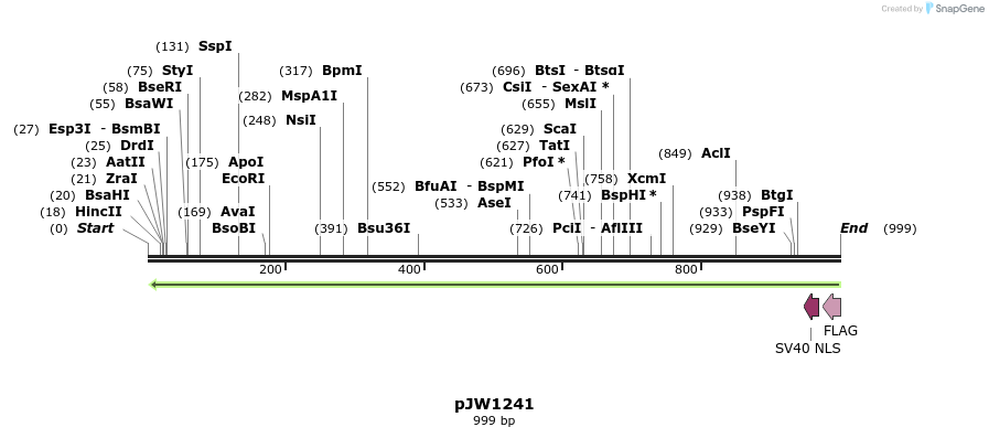 142378_map