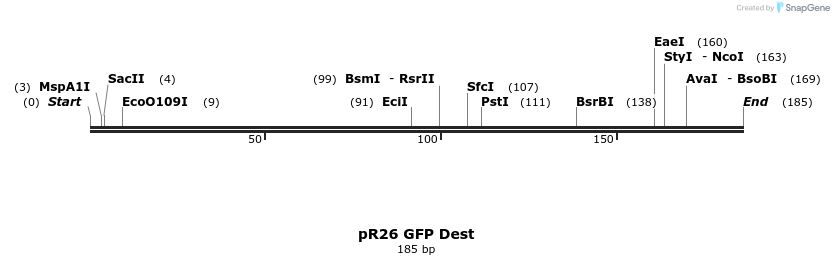 142381_map