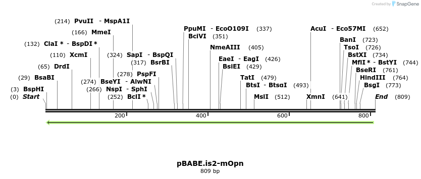 142382_map