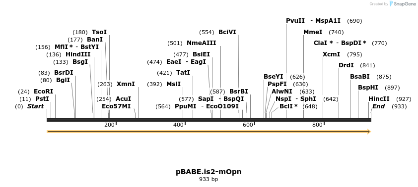 142384_map