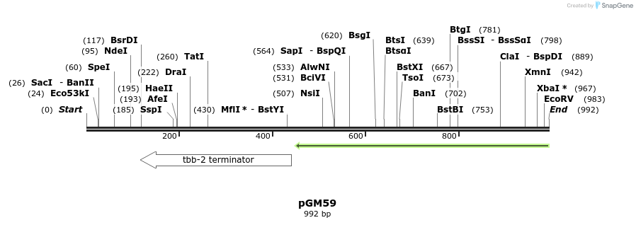 142389_map