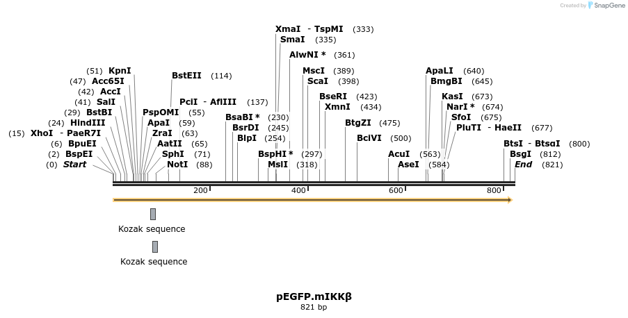 142393_map