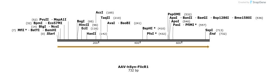 142394_map