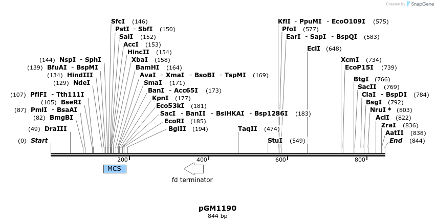 142396_map