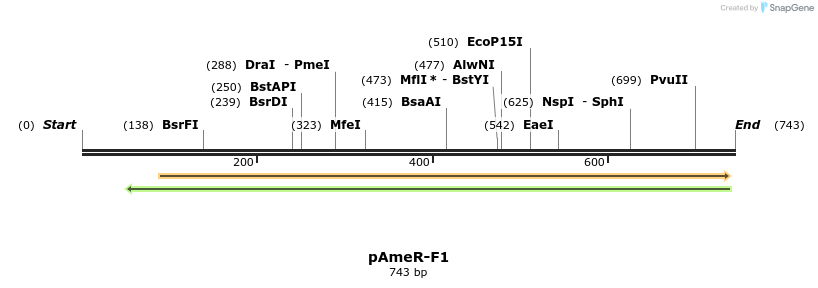 142398_map