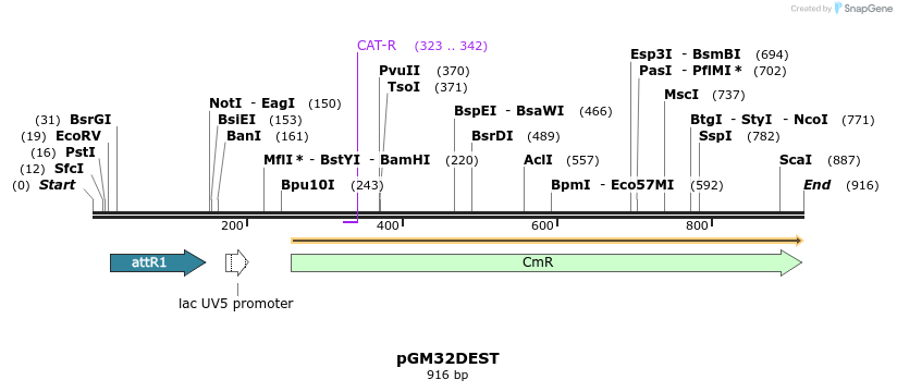 142399_map