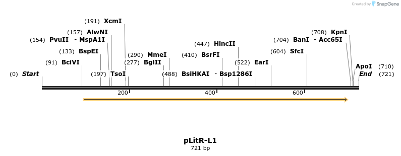 142400_map