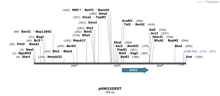 142401_map