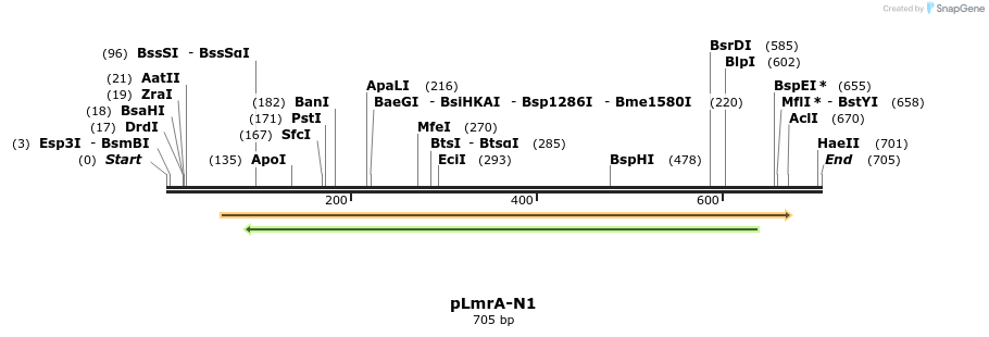 142402_map