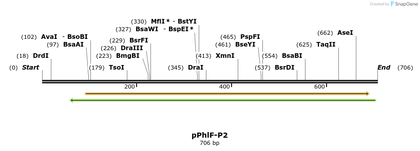 142403_map