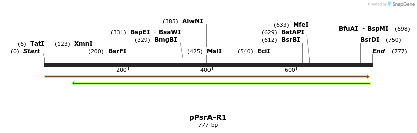 142404_map