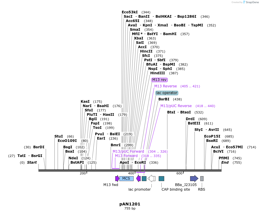 142405_map