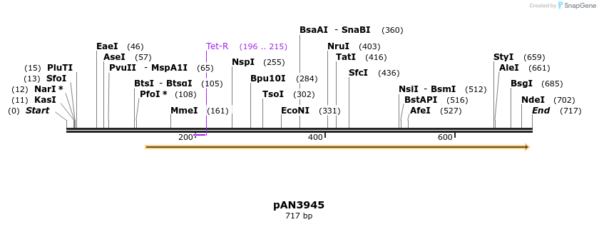 142407_map