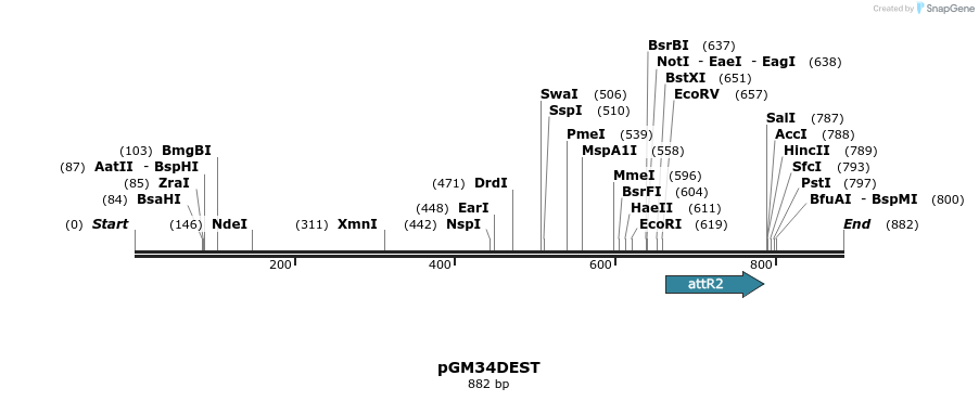 142409_map