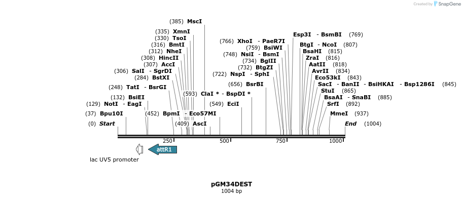 142413_map