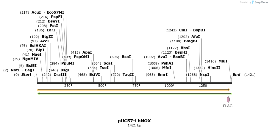 142415_map