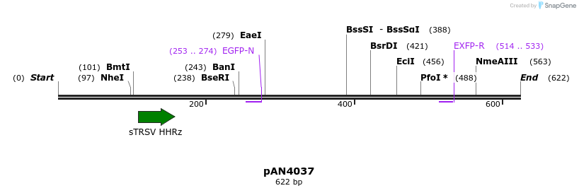 142422_map
