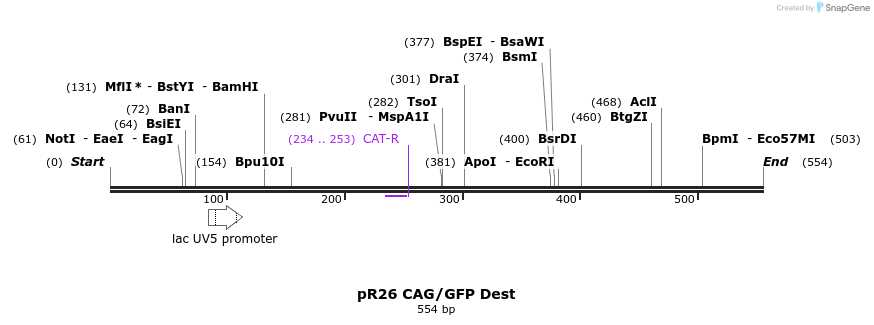 142426_map