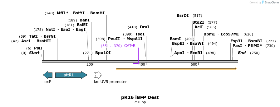 142430_map